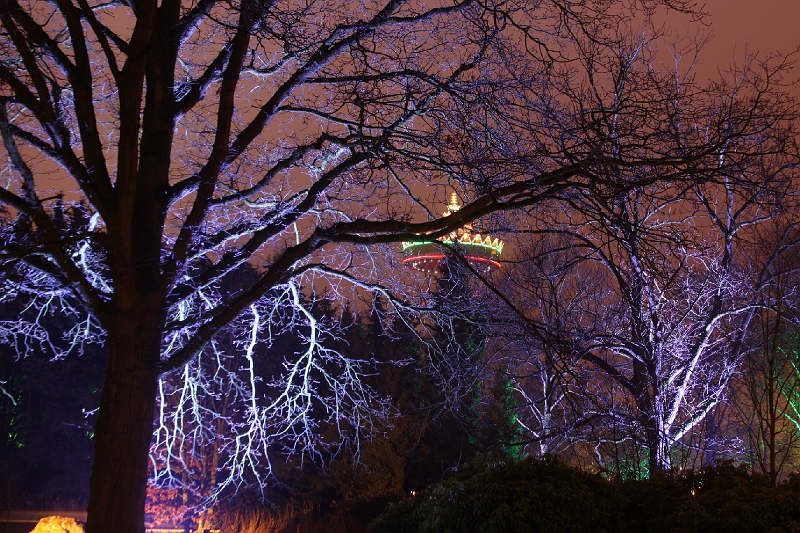 IMG_5888.JPG