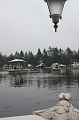 IMG_5781