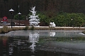 IMG_5808
